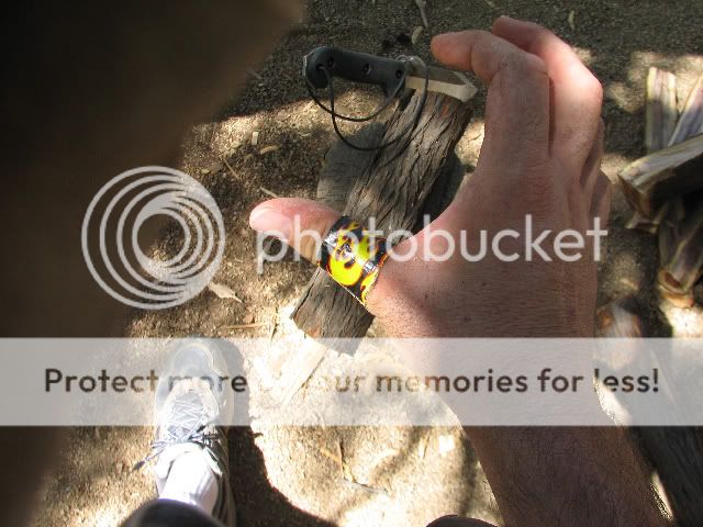 h2.jpg