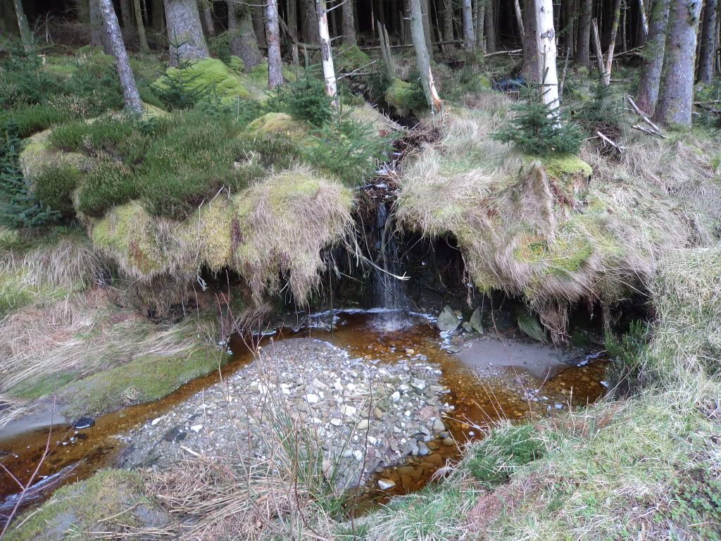 DSC00280.jpg