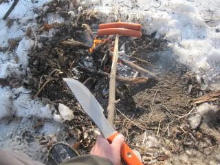 IMG_1193.jpg