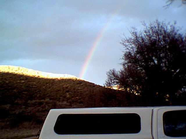 photo013.jpg