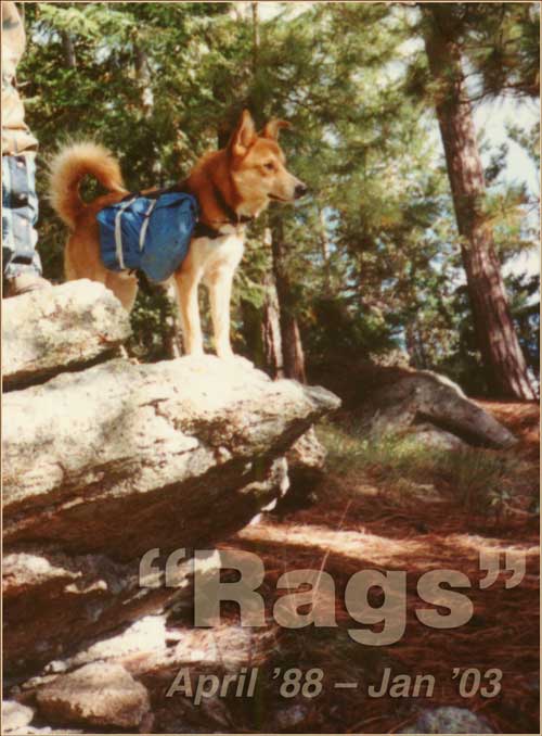 Rags.jpg