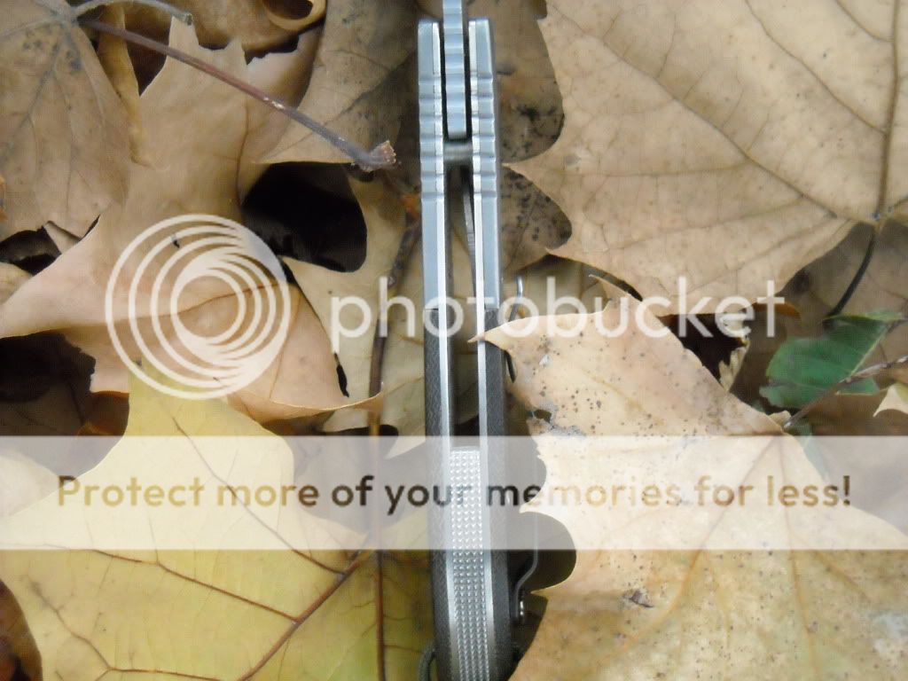 AParkLillyKnives004.jpg