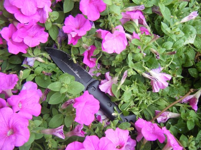 DSCF2326.jpg