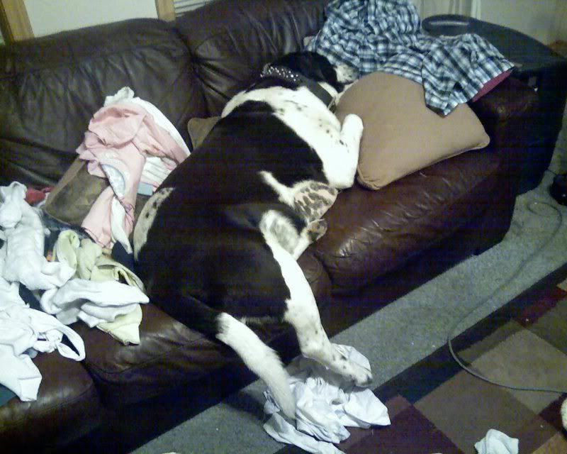 benasleep-1.jpg