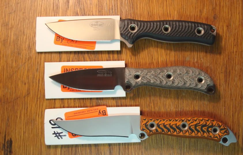 Stag020-1.jpg