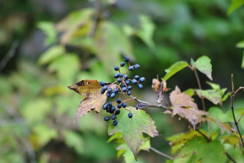 DSC_5151.jpg
