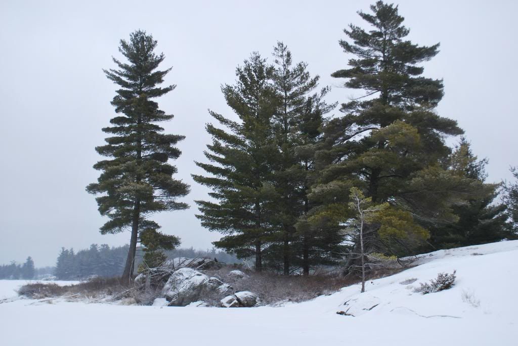 DSC_0086-4.jpg