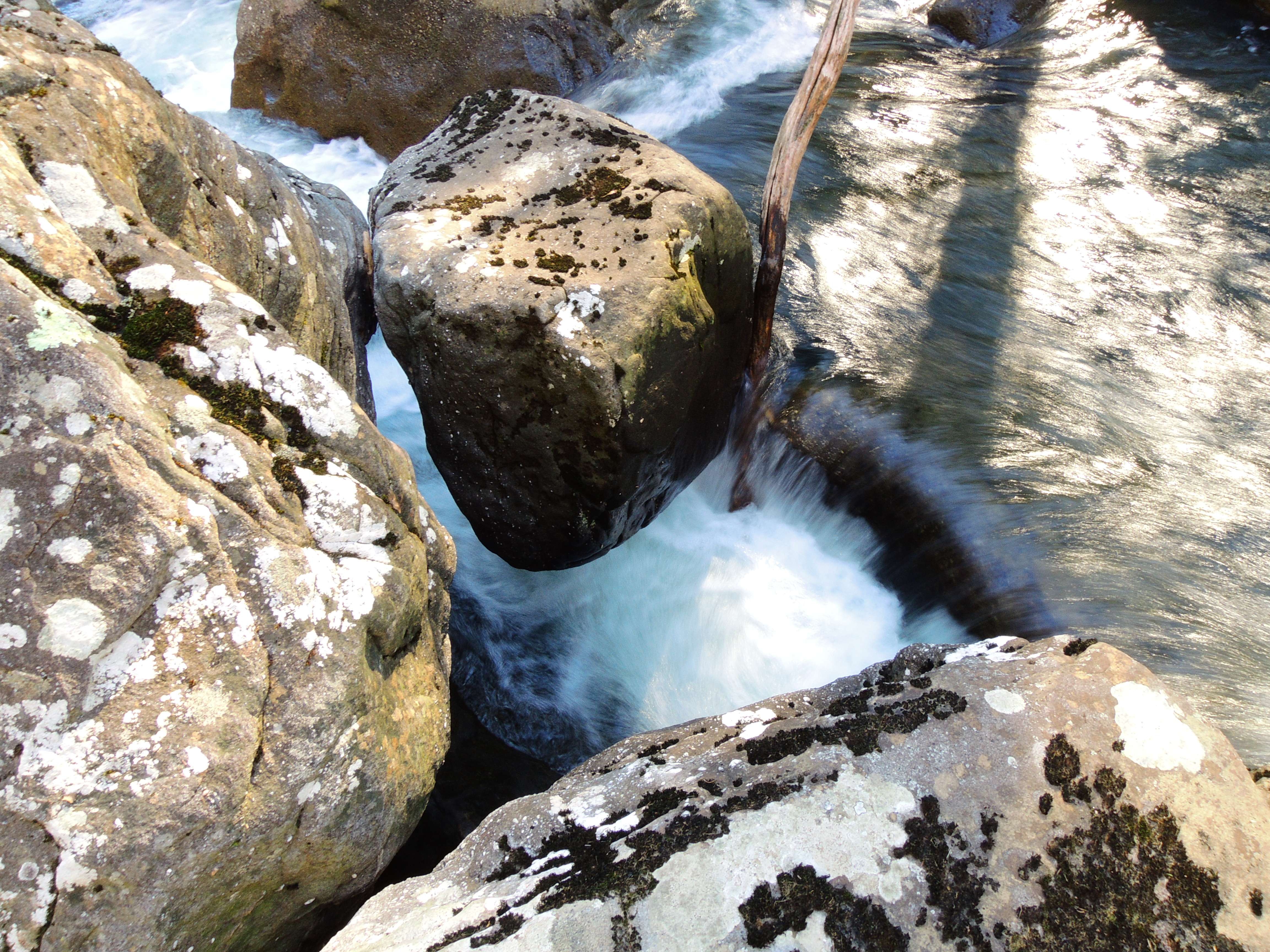 dscn6949m.jpg