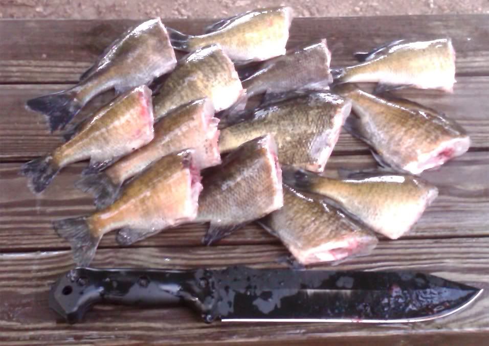 20110611_p07.jpg