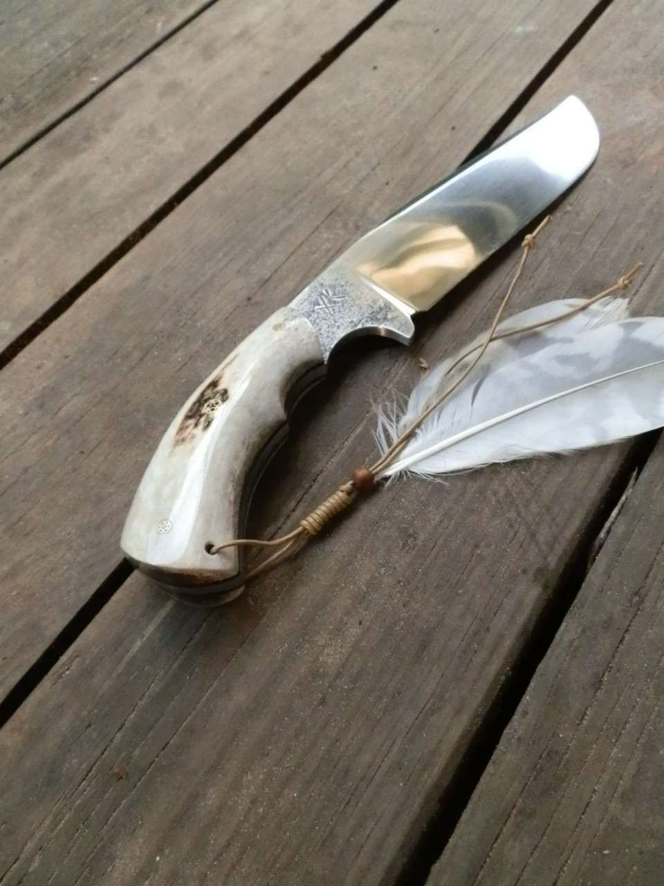 pa093557.jpg