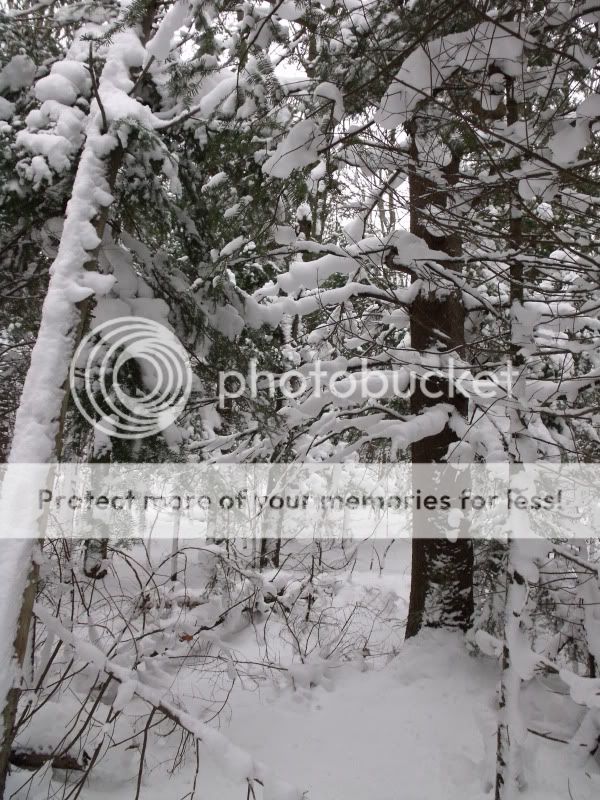 firstsnowshoe2009004.jpg