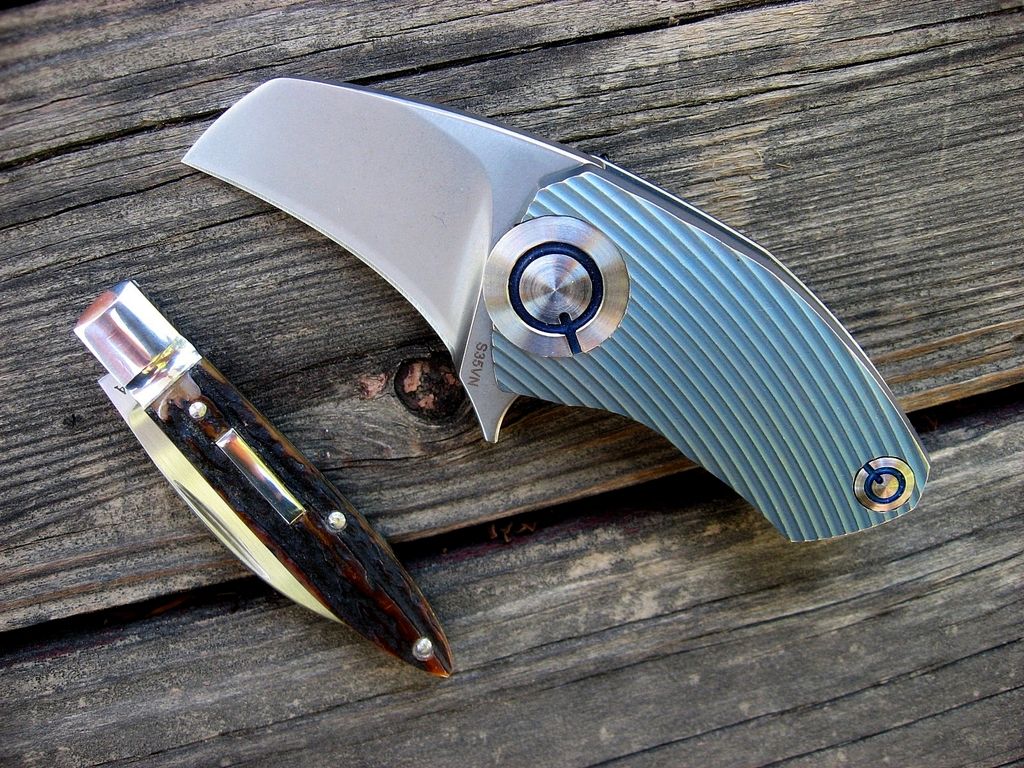 Parrot%20and%20Ohta_zpsu7xgtcd9.jpg