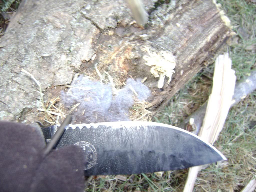 ESEE--otispics031.jpg