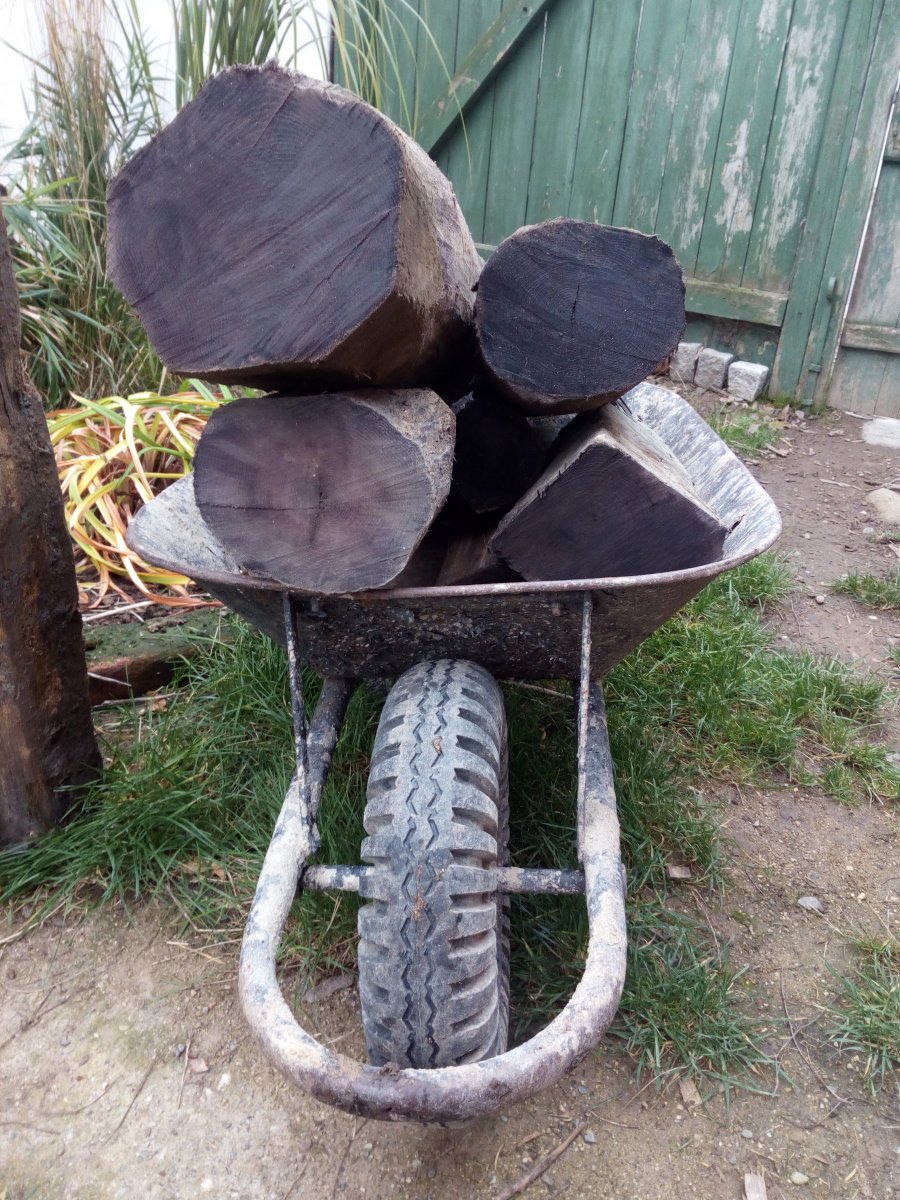 DUB-2.jpg