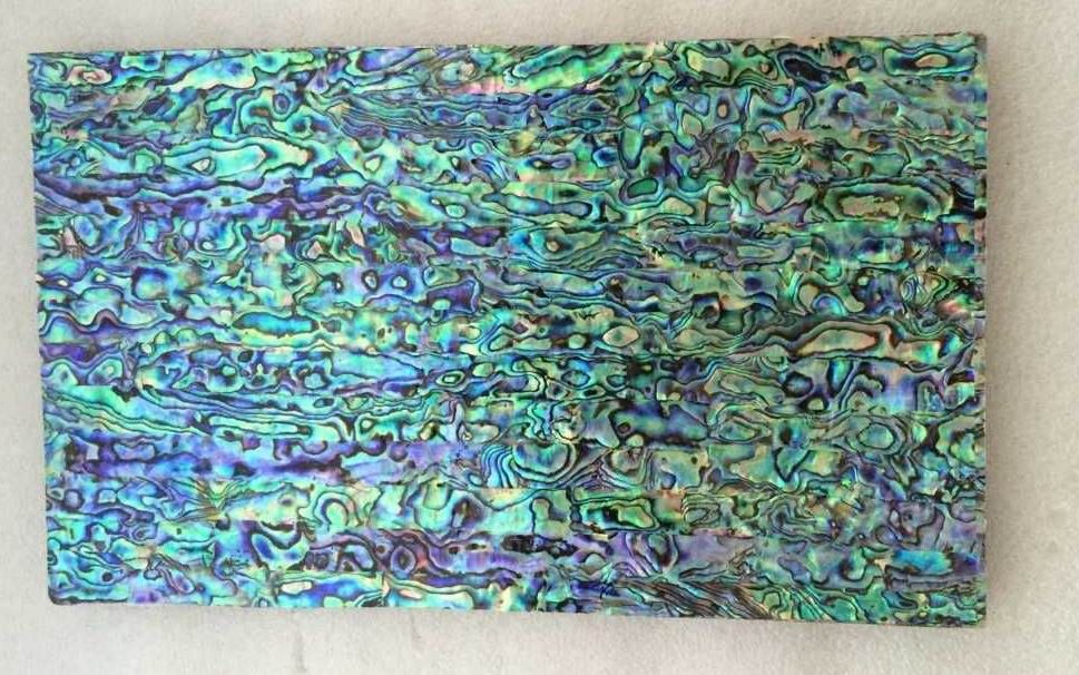 greenabalone_zps4fjk42dk.jpg