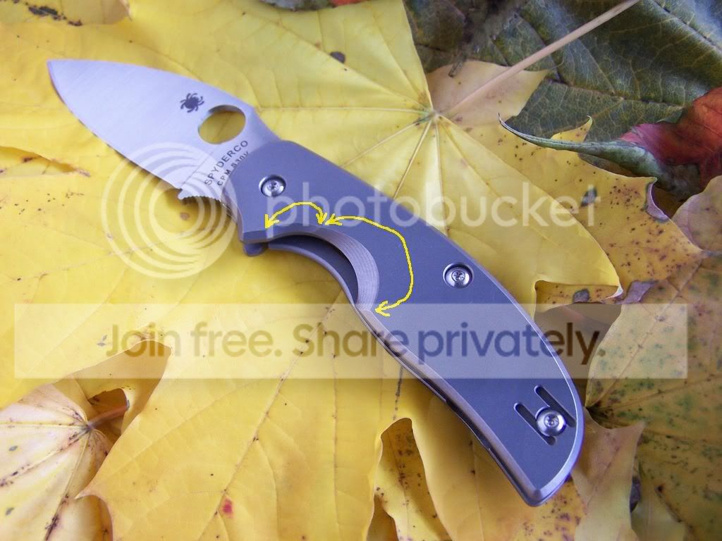 Spyderco-SageRILTi009twocirclegrind.jpg
