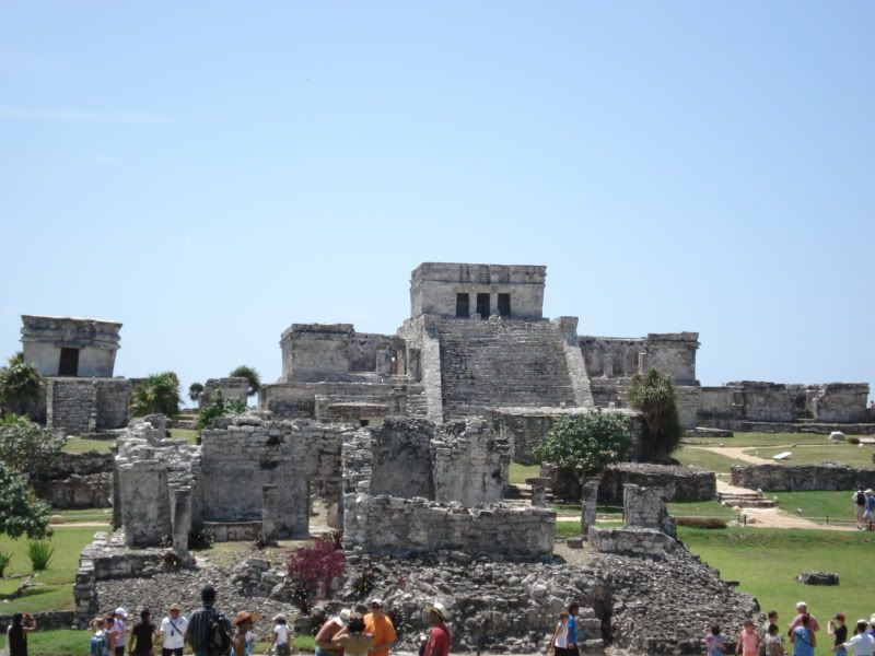 DSC01524.jpg
