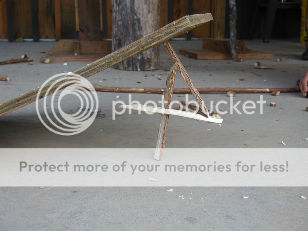 PA260010.jpg