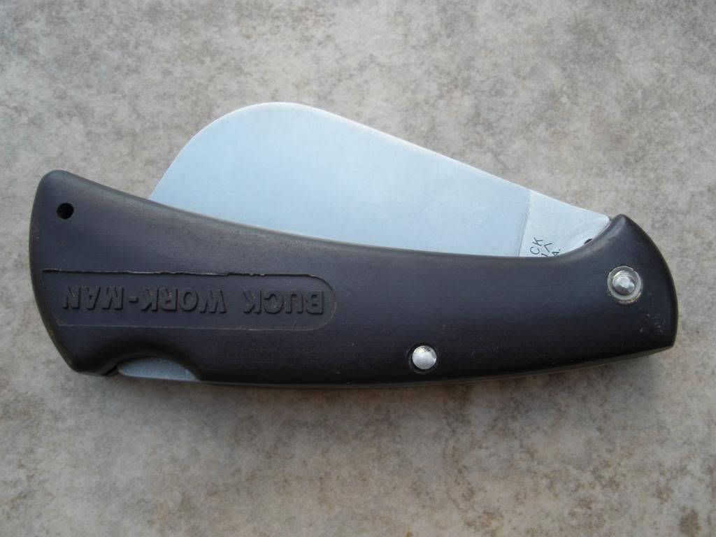 PA010805.jpg