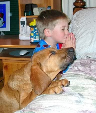 boyanddog.jpg