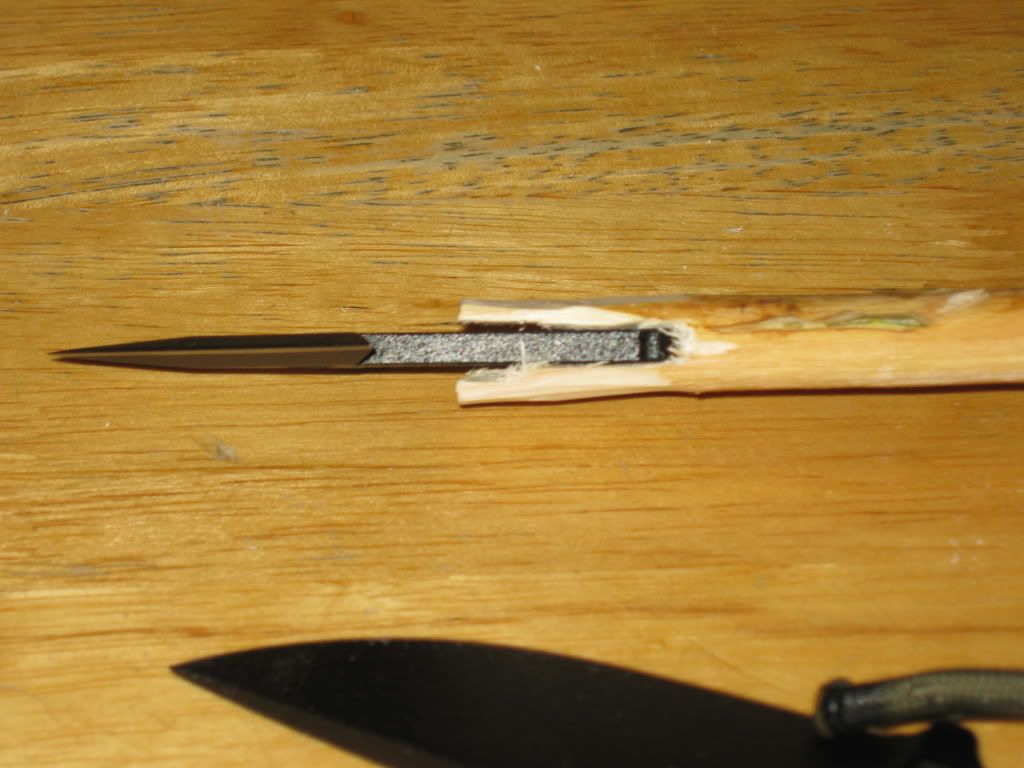 DavidsGear005.jpg