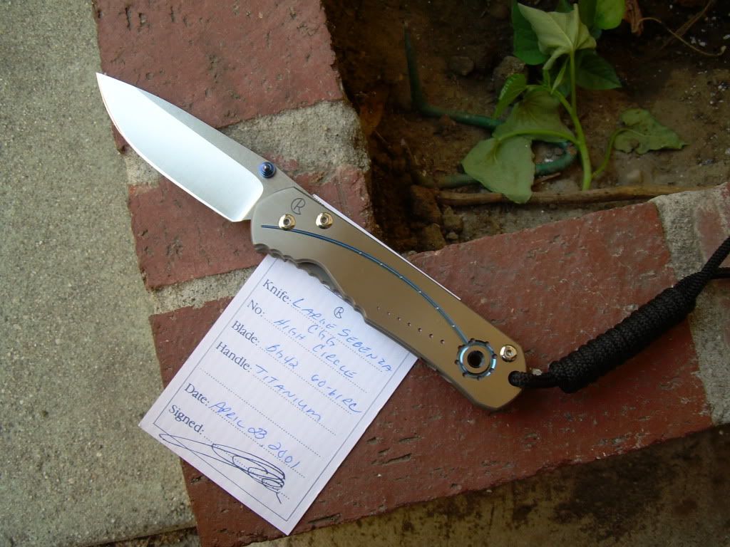 DSCN1675.jpg