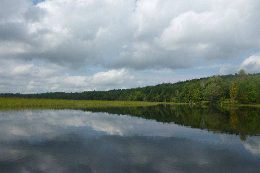P1030250.jpg
