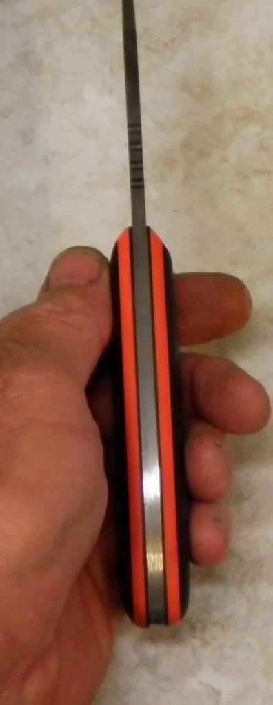 walnutedcIVblackorangebulldogXL007.jpg
