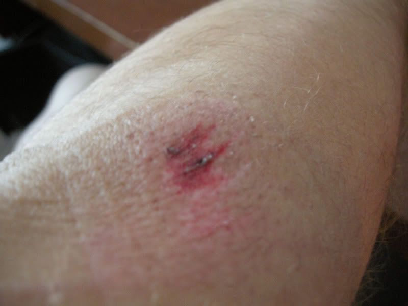 DSCN2377.jpg