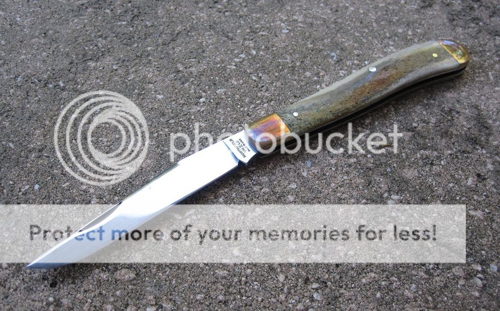 IMG_4313_zpsplx6h22a.jpg~original