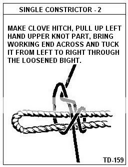 SingleConstrictor-2.jpg