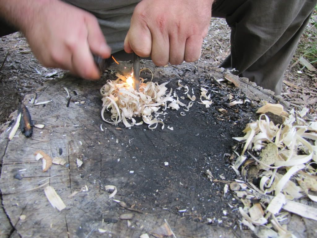 pic25.jpg