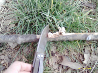 IMAG0055.JPG