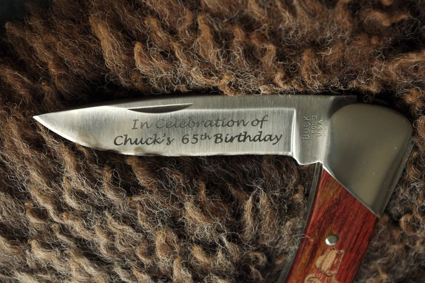 Buck500ChuckBladeklein.jpg