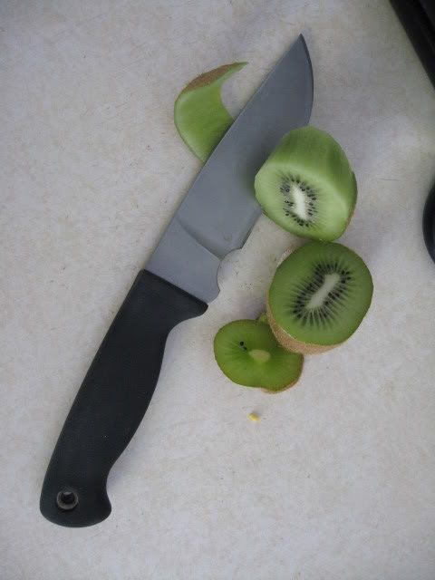 ScrapYardKiwi.jpg