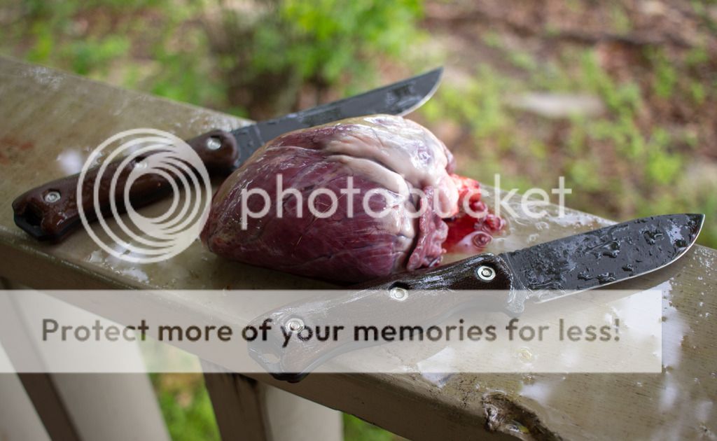 IMG_1649_zpscnmclcpj.jpg~original