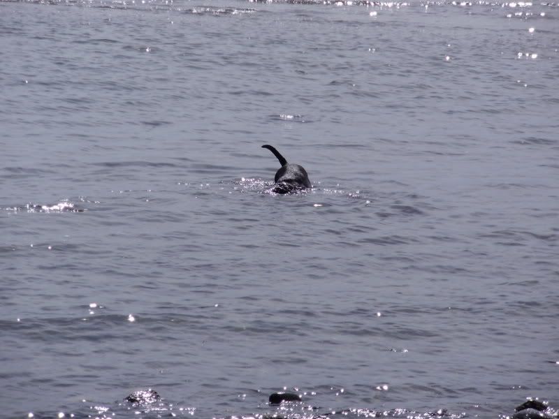 P4050024.jpg