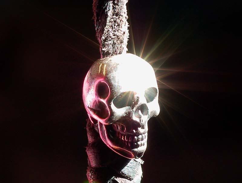 skull22.jpg