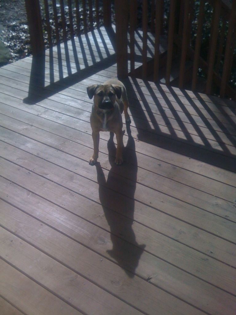 June102012320.jpg