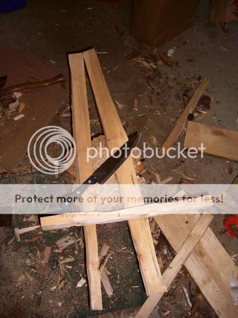 CIMG8879.jpg
