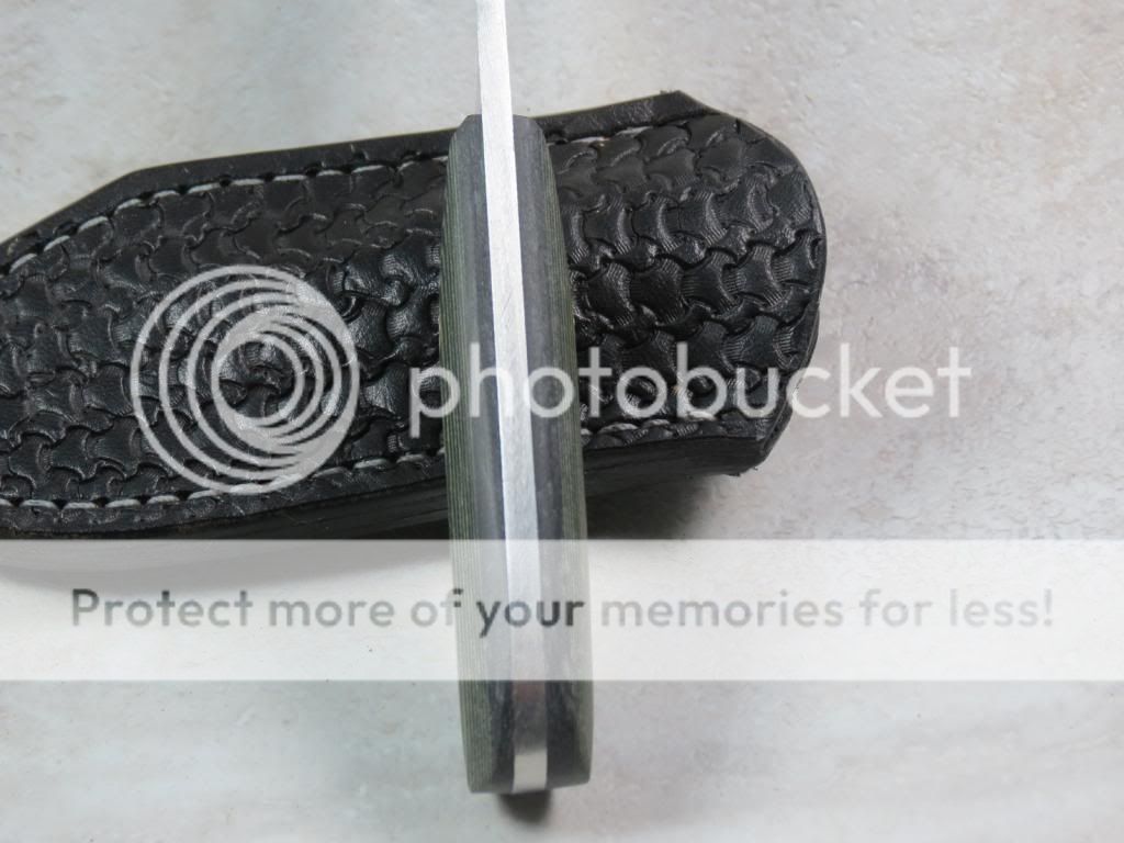IMG_2223_zps9f0982f1.jpg