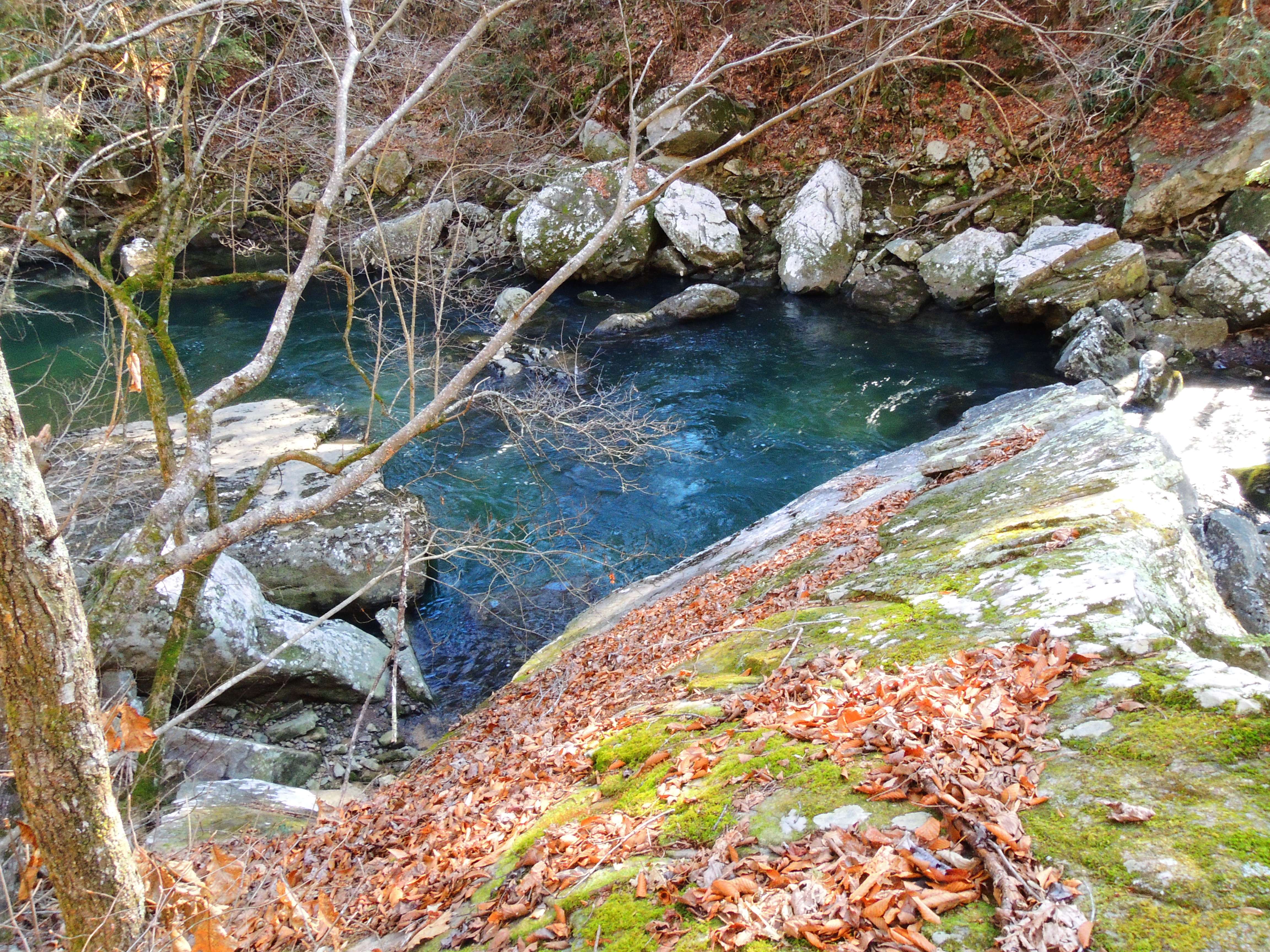 dscn6963sw.jpg