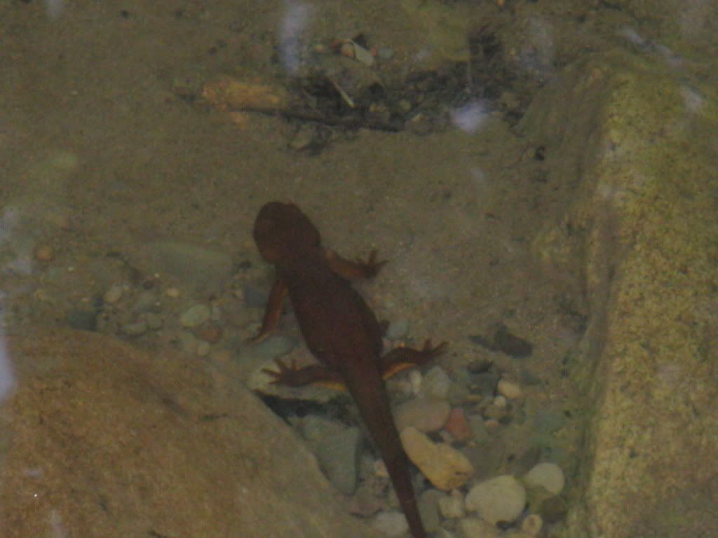 Picture011.jpg