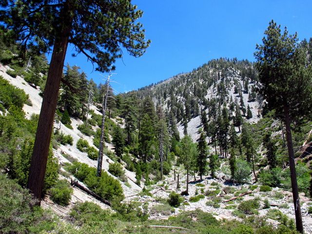 IMG_0466.jpg