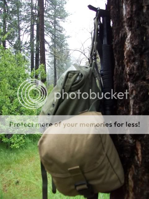 100_3797.jpg