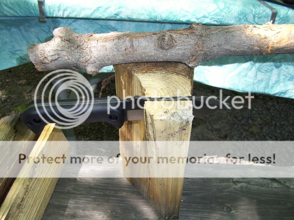 100_1066.jpg