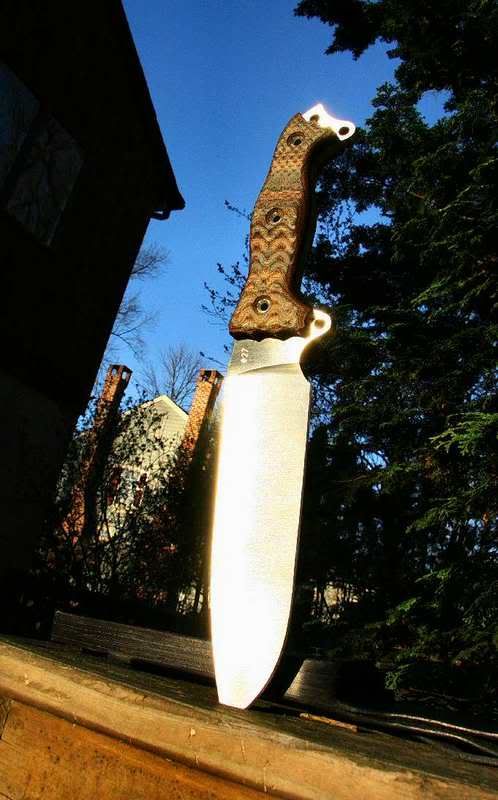 27HOGFSH_Excalibur_comp.jpg