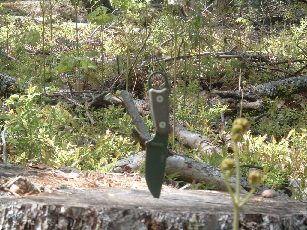 DSCF5207.jpg
