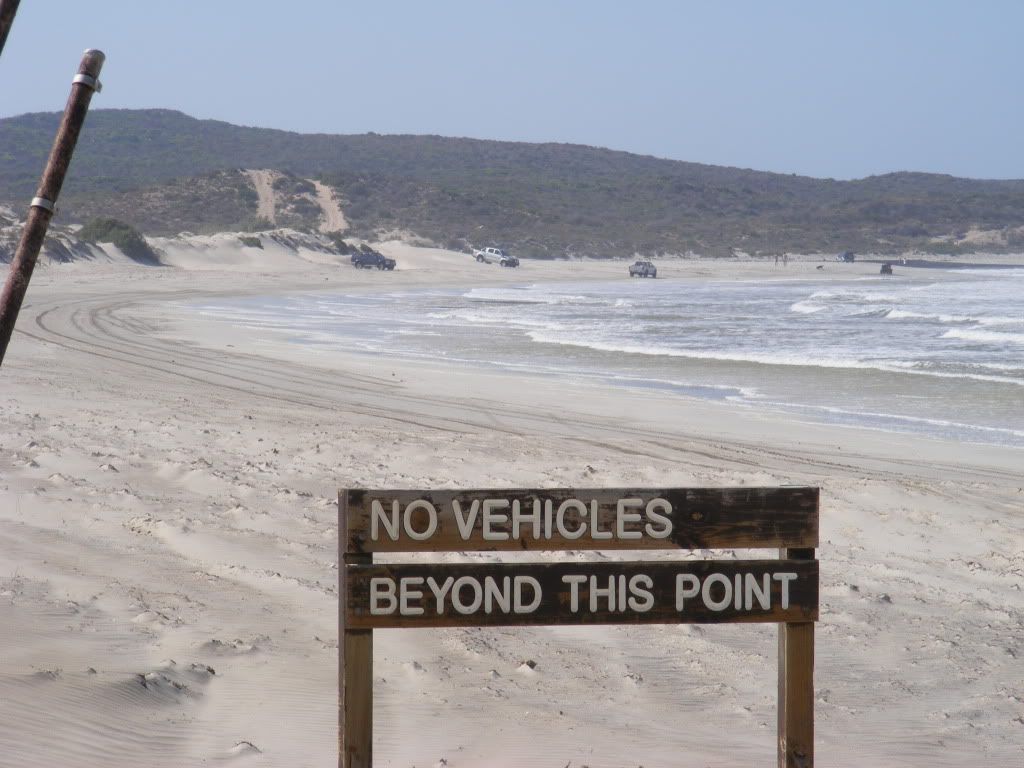 DSCF1514.jpg