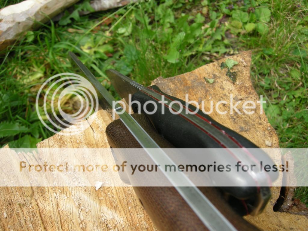 DSCN1631.jpg